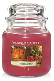 Yankee Candle - vonné svíčky Holiday Hearth 411 g | Ms-cosmetic.cz