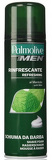 Palmolive Mentol pěna na holení 300 ml | Ms-cosmetic.cz
